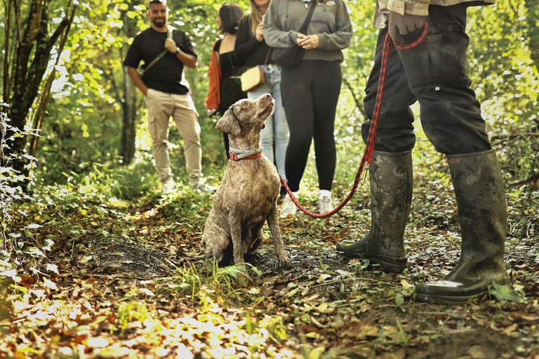 Zagreb Private Truffle Hunting Tour