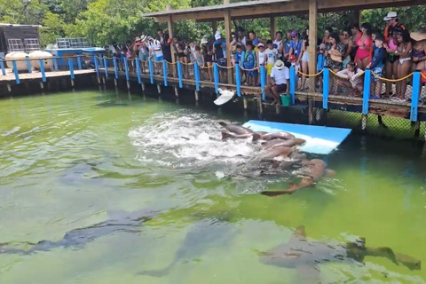 Cartagena: Excursion to the Rosario Islands and Playa Blanca with lunch