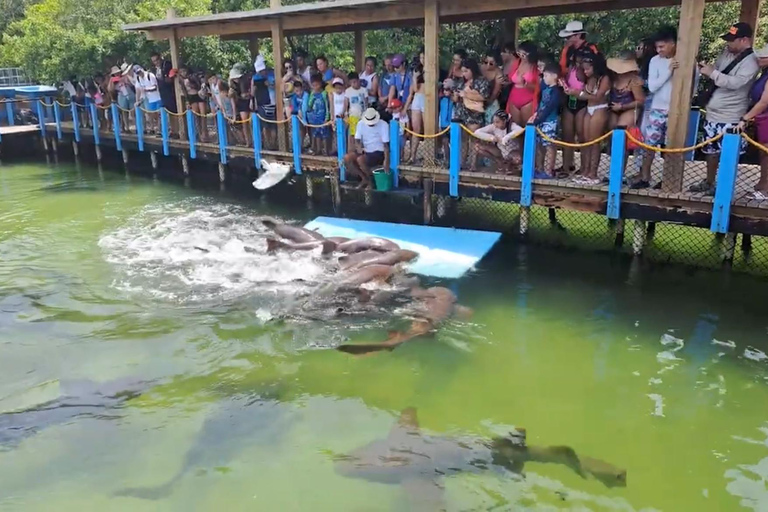 Cartagena: Excursion to the Rosario Islands and Playa Blanca with lunch