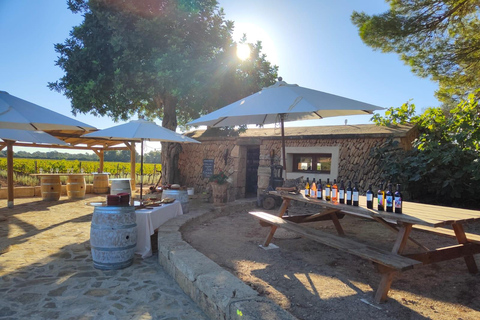 Illes Balears : Visite de Bodegas Bordoy avec déjeuner