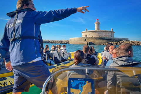 Lisbon: Ocean Safari with Marine Biologists