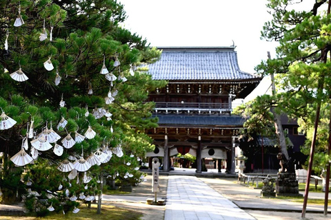 Osaka/Kyoto: Amanohashidate & Ine Funaya & Ine Bay Day Tour Excludes Cable Car & Cruise: 8:00AM Osaka