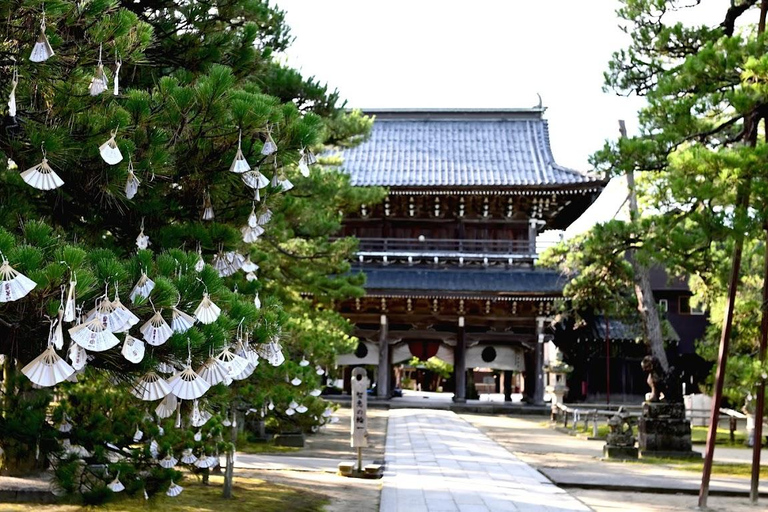 Osaka/Kyoto: Amanohashidate & Ine Funaya & Ine Bay Day Tour Excludes Cable Car & Cruise: 8:00AM Osaka