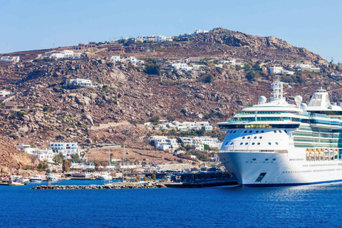 Mykonos: Paradise Beach Cruise Ship Transfer with Sunbeds