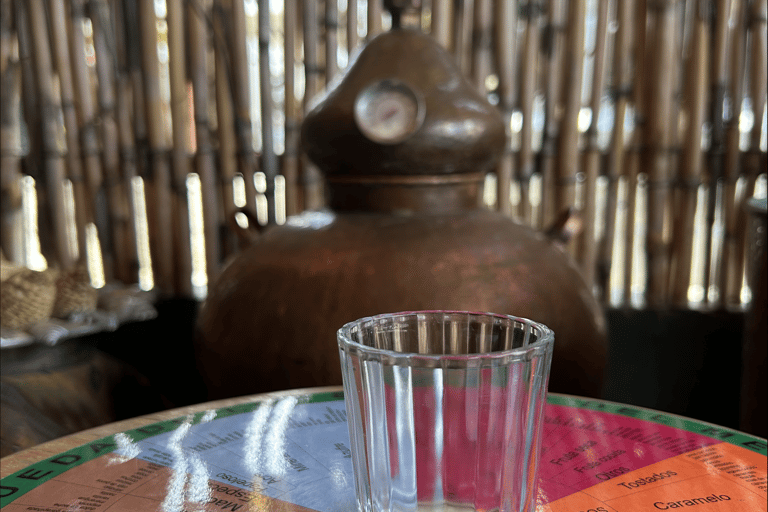 Oaxaca: Uppslukande mezcal-workshop och destillering