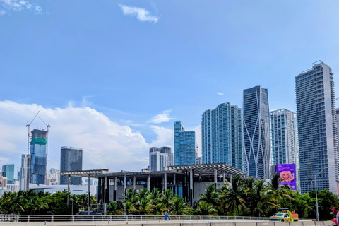 Miami: Private City Tour with Little Havana & Wynwood Stops