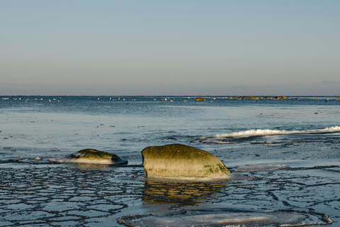Tallinn: Malusi Islands Seal Watching Boat Tour
