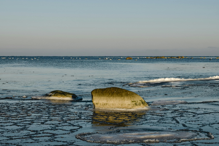 Tallinn: Malusi Islands Seal Watching Boat Tour
