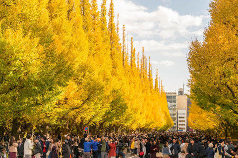 Tour di un giorno a Tokyo Skytree Meiji Shrine con autista in inglese