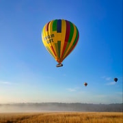 Sydney: Hunter Valley Sunrise Balloon Flight with Transfer