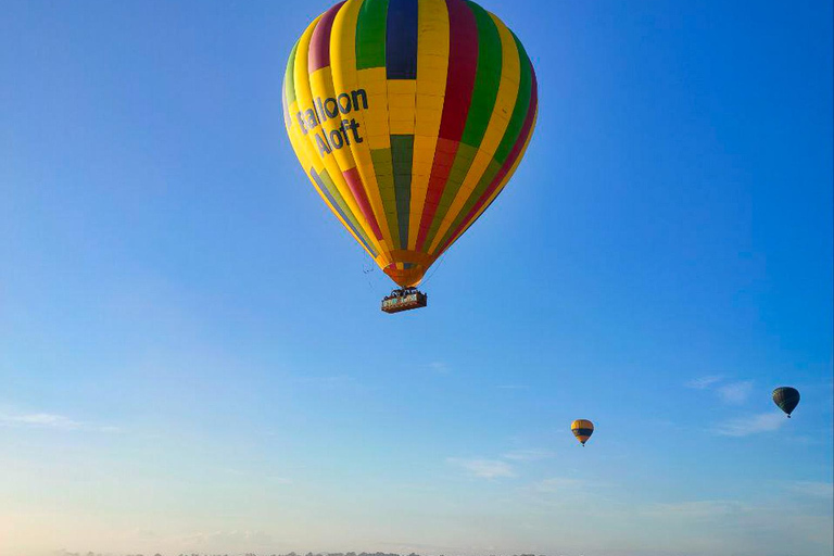 Volo in mongolfiera nella Hunter Valley con trasferimento dal centro di Sydney