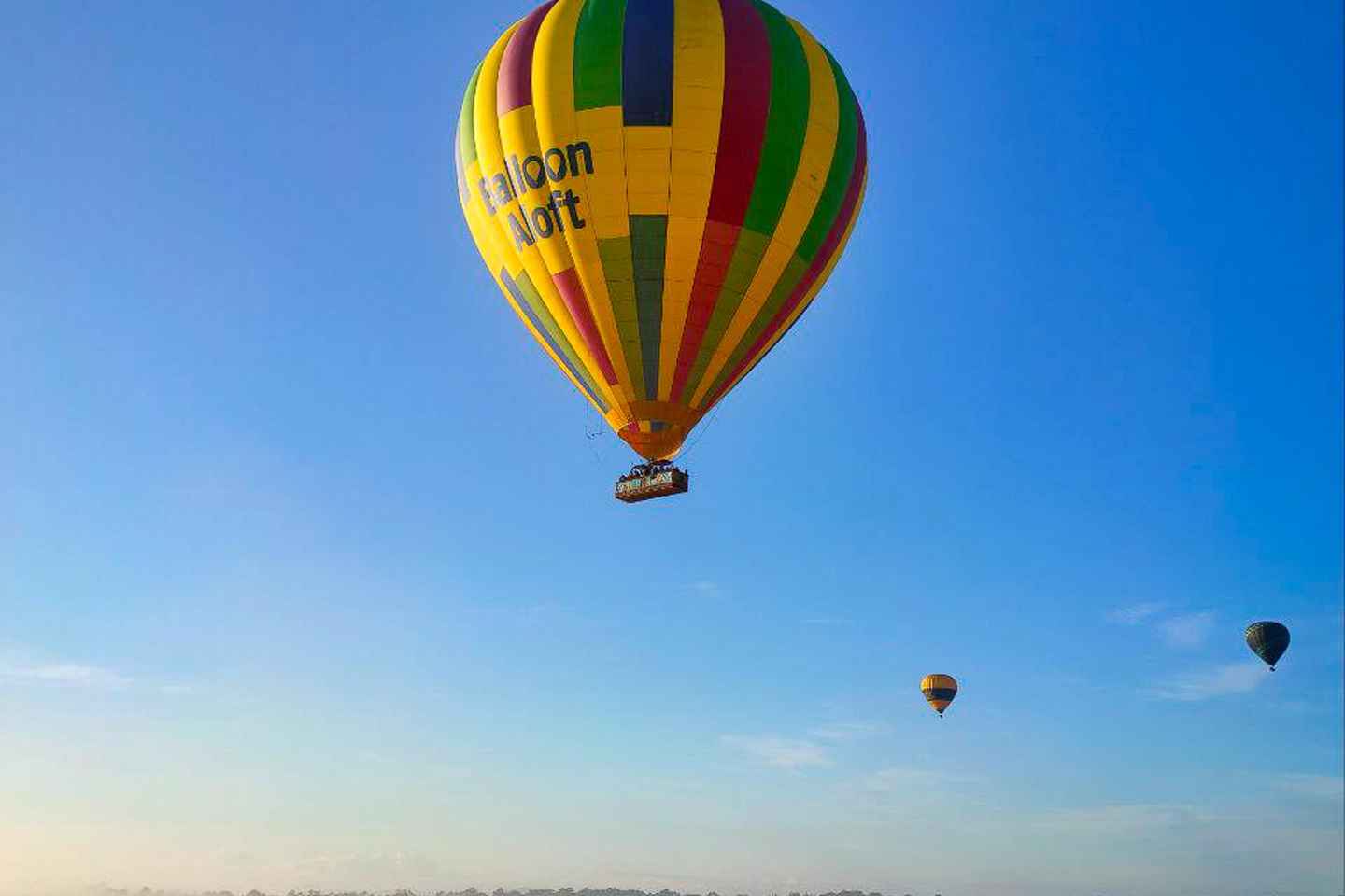 Sydney: Hunter Valley Sunrise Balloon Flight with Transfer - Sydney: Hunter Valley Sunrise Balloon Flight with Transfer