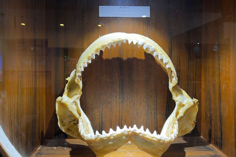 Sabah : Visita a la ciudad de Kota Kinabalu con comida/cenaKota Kinabalu: Visita a la ciudad de Kota Kinabalu