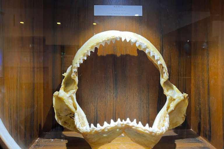 Sabah : Visita a la ciudad de Kota Kinabalu con comida/cenaKota Kinabalu: Visita a la ciudad de Kota Kinabalu