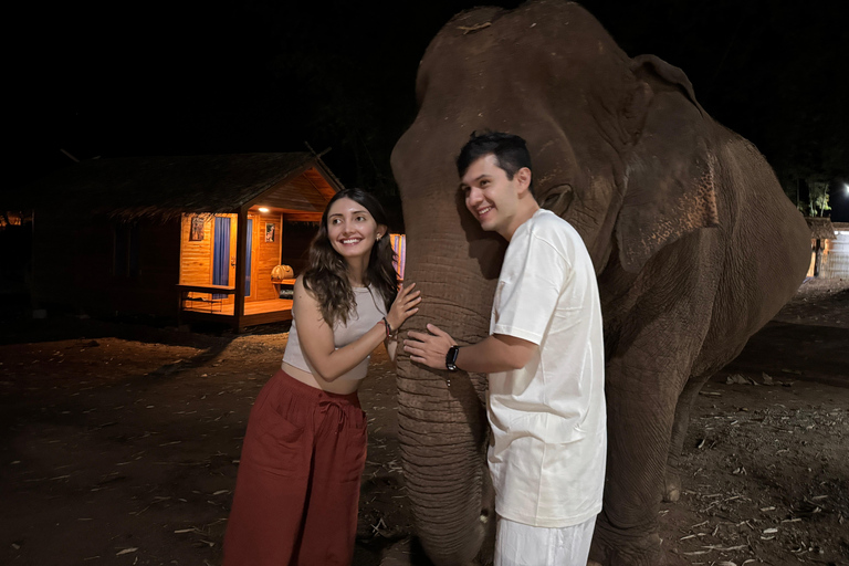 Chiang Mai 2-Day: Good Morning Elephant & Overnight Homestay