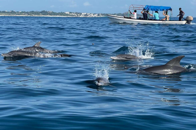Zanzibar: tour privato dell'isola di MnembaTour privato. Non c'è il servizio di prelievo in hotel e non c'è il pranzo.