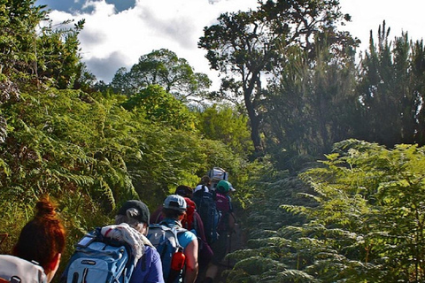 Niezapomniany trekking Kilimandżaro - 1 dzień szlakiem Rongai