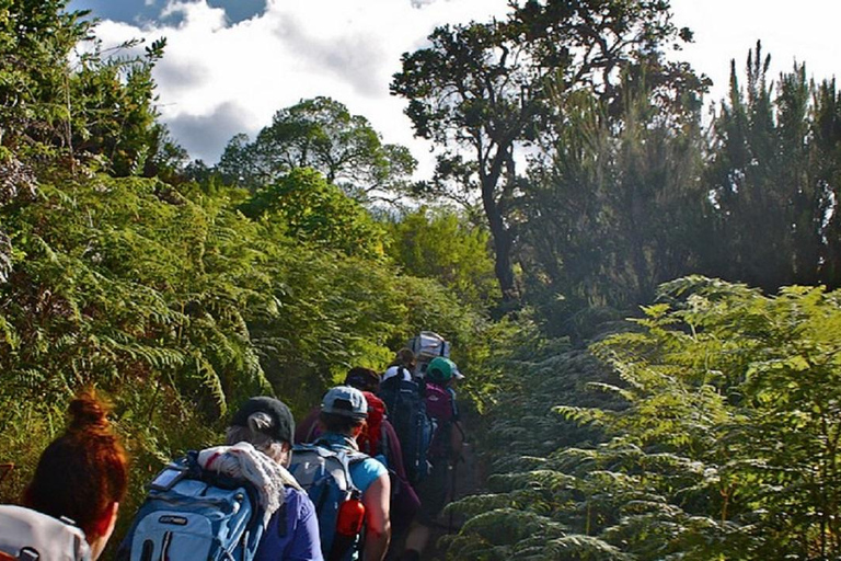 Unforgettable Trek Kilimanjaro - 1 dia Rota do RongaiUnforgettable Trek Kilimanjaro - 1 dia na Rota Rongai