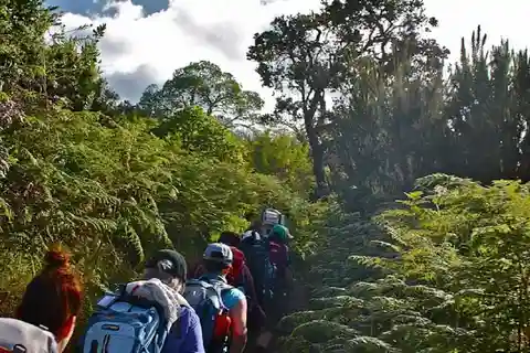 Melhor caminhada no Kilimanjaro - 1 dia na Rota do Rongai