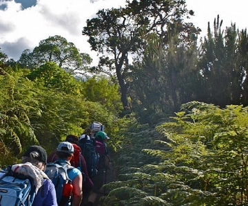 Best Kilimanjaro Hike- 1 Day Rongai Route