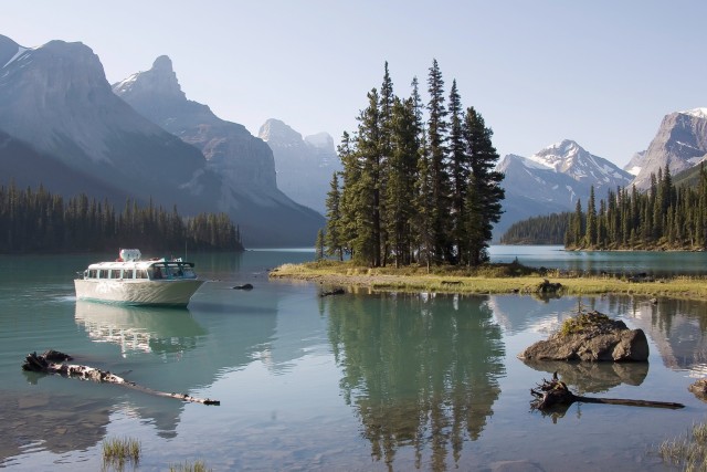 Visit Jasper Wildlife & Waterfalls Tour with Maligne Lake Cruise in Jasper, Alberta