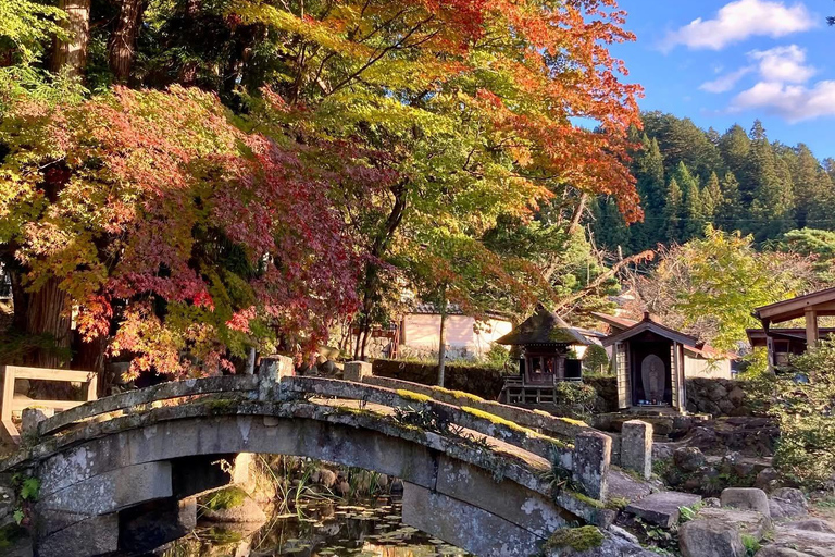 Kanazawa: Guided Walking Tour 4 best spots
