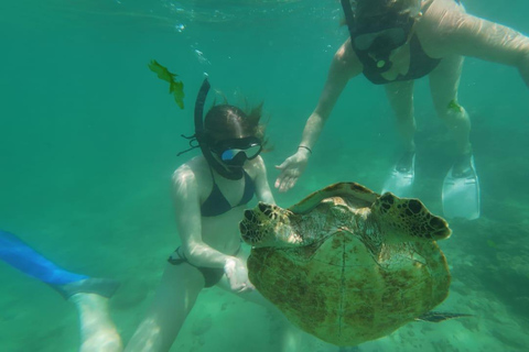 Mirissa Snorkeling Trip with Sea Turtles & Coral Reef