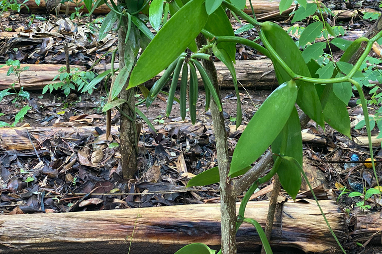 Sansibar : Gewürzfarm &amp; Rundgang in Stone Town