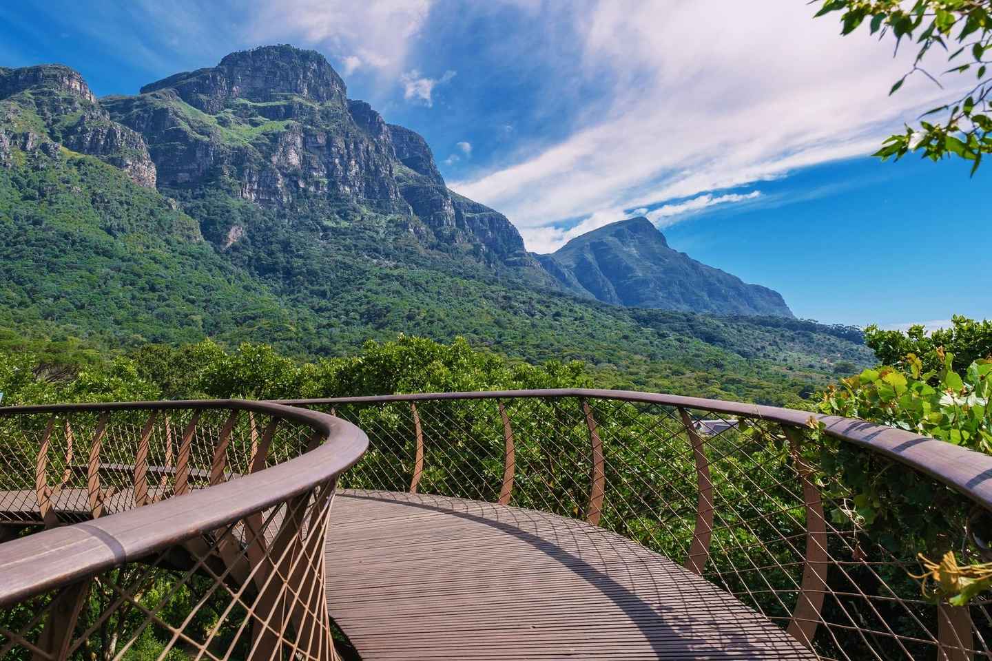 Cape Town: Table Mountain, Kirstenbosch Botanic Garden Tour - Small Shared Group Tour ( All fees are Not included)