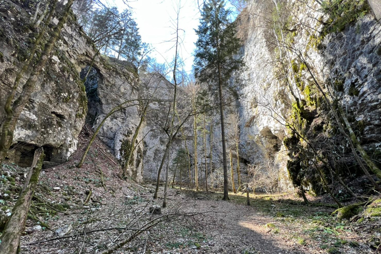 From Bled: Half-Day Pokljuka Gorge Trail Hike (Private)