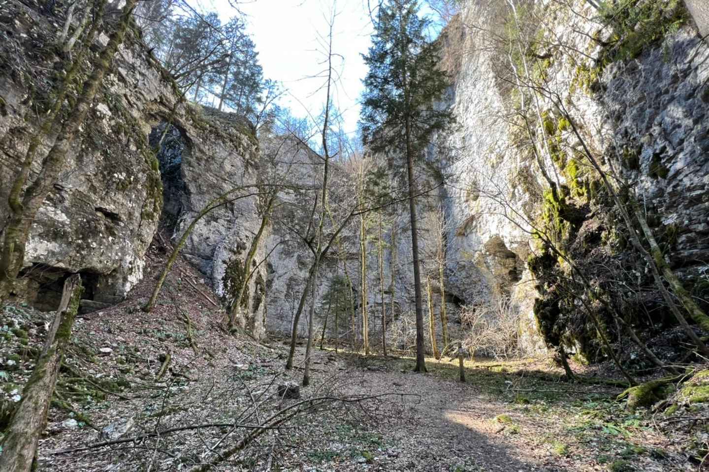 Gönguferð um Pokljuka gljúfur frá Bled