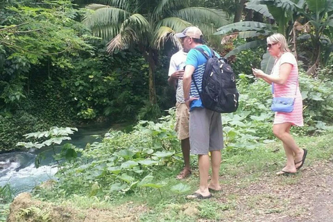 Passeio de destaque em Montego Bay