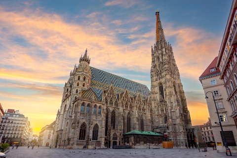 Cruzeiro pelo rio Viena, passeio a pé com a Catedral de St. Stephan3 horas e 15 minutos: passeio básico pela cidade velha e passeio de barco