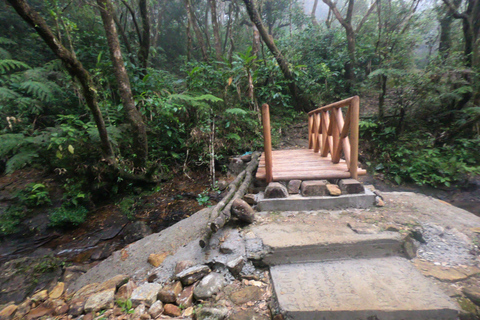 Kandy: Passeio de um dia pelas cachoeiras e vilarejo local com almoço