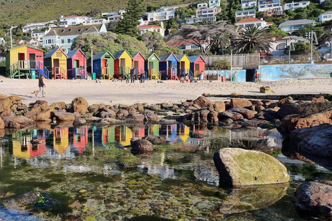 Luxury Cape of Good Hope & Penguin Tour