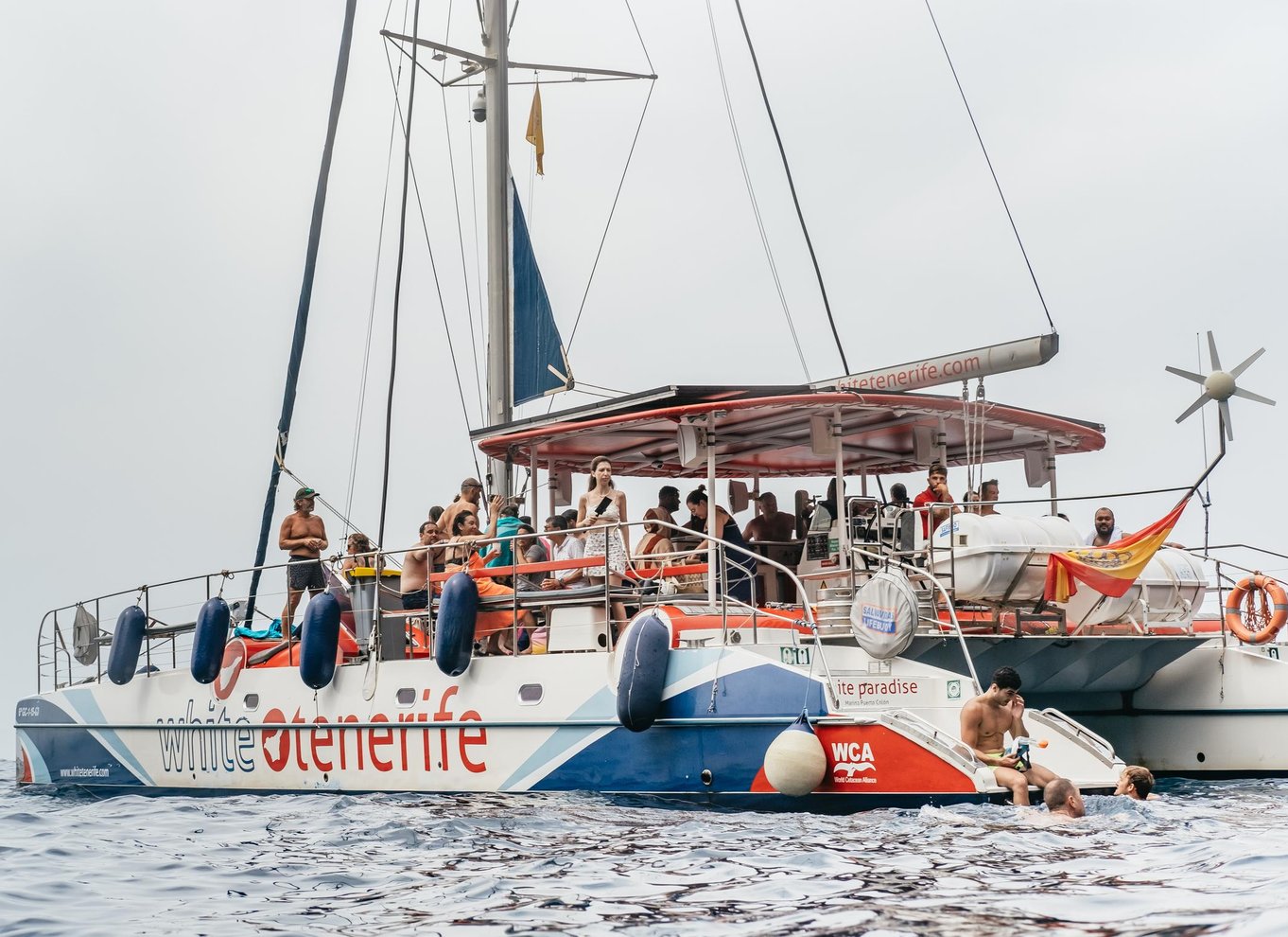 Costa Adeje: Økokrydstogt med hvaler og delfiner med snacks og drikkevarer