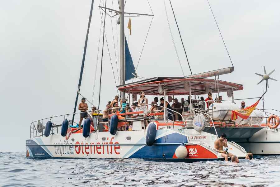 Costa Adeje: Suche nach Delfinen und Walen auf einer Öko-Kreuzfahrt