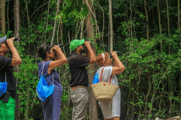 Private Birding Tour Punta Cana to Los Haitises Park