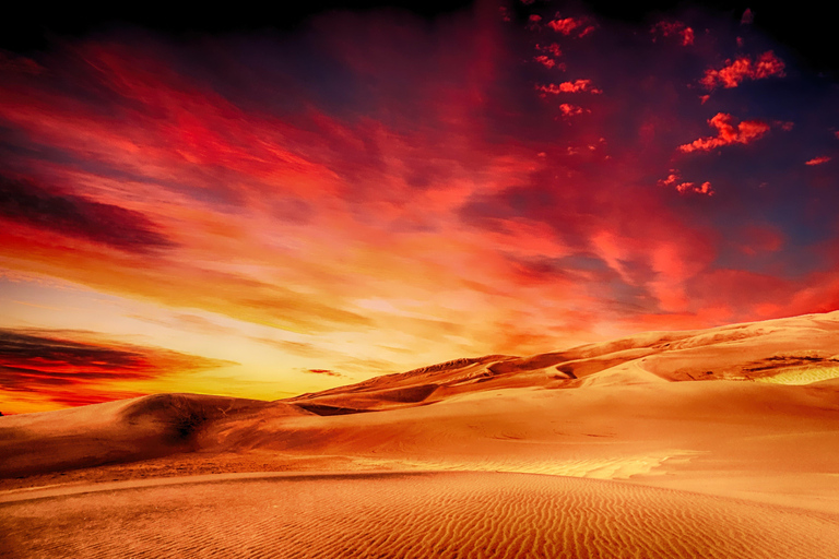 From Djerba: Oasis, Sunset in the Desert Dunes & Dinner in a 4x4 From Djerba: Oasis, sunset in the desert dunes & dinner in a 4x4