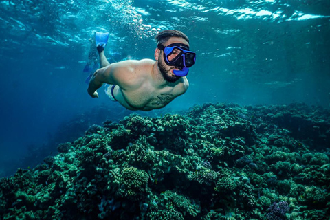 Excursión de snorkel en Jeddah