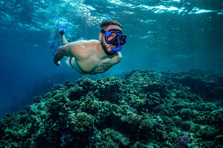 Excursión de snorkel en Jeddah