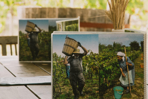 Corfu: E-Bike Tour with Wine Tasting and Winery Visit