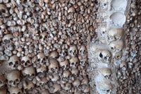 Da Albufeira, Nature & Animals Jeep Tour con Krazy World - Housity