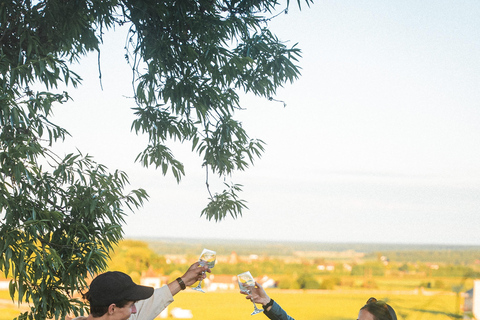 Balade Solex/Vélo avec guide et dégustation de vins
