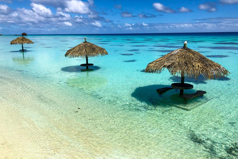 Montego Bay: Private Horseback Ride & Swim + Transport