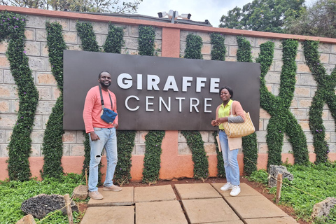 Excursion d&#039;une demi-journée à l&#039;orphelinat des éléphants et au centre des girafes