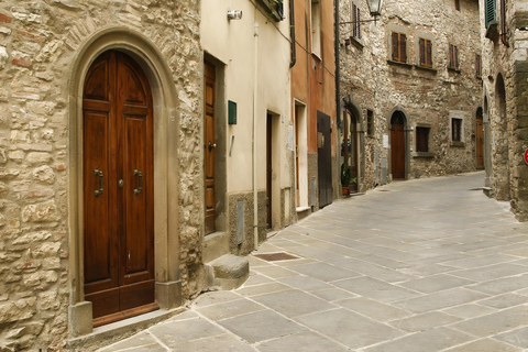 Au départ de Florence : Pise, San Gimignano et Sienne visite privée