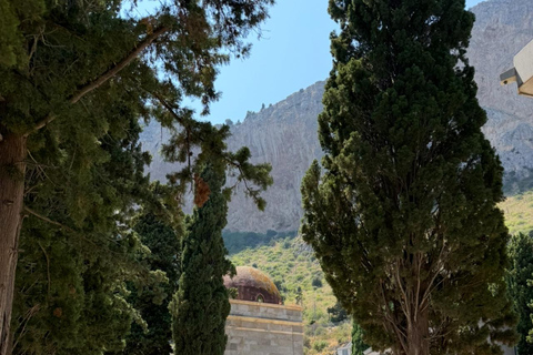 Palermo: Rotoli Cemetery and Santa Rosalia Sanctuary Tour Private