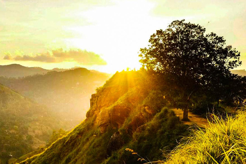 Ella: Sunset Tuk Tuk Tour mit Wanderung zum Little Adam&#039;s Peak