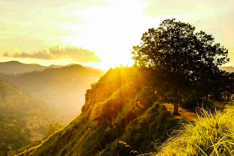 Ella: Passeio de Tuk Tuk ao pôr do sol com caminhada no Pico do Pequeno Adão